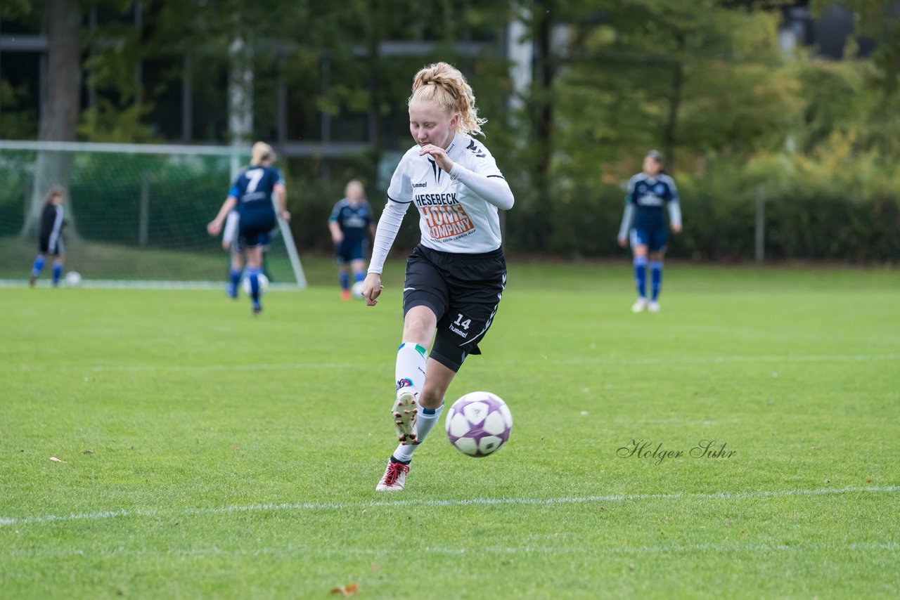 Bild 166 - B-Juniorinnen SV Henstedt Ulzburg - Hamburger SV : Ergebnis: 2:3